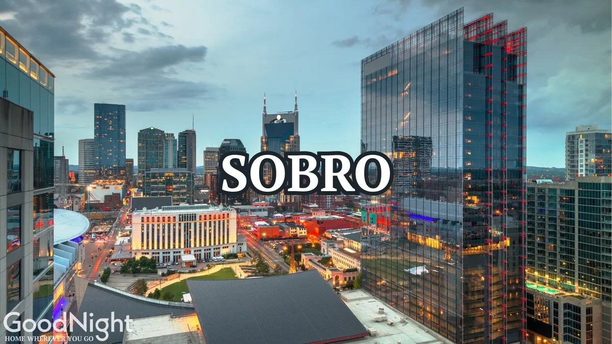 A panoramic nighttime view of the Nashville skyline with prominent buildings lit up, city lights sparkling against the evening sky, and a sense of excitement in the air. The perspective suggests the allure of nightlife and urban exploration, inviting viewers to experience the city’s dynamic energy after dark.